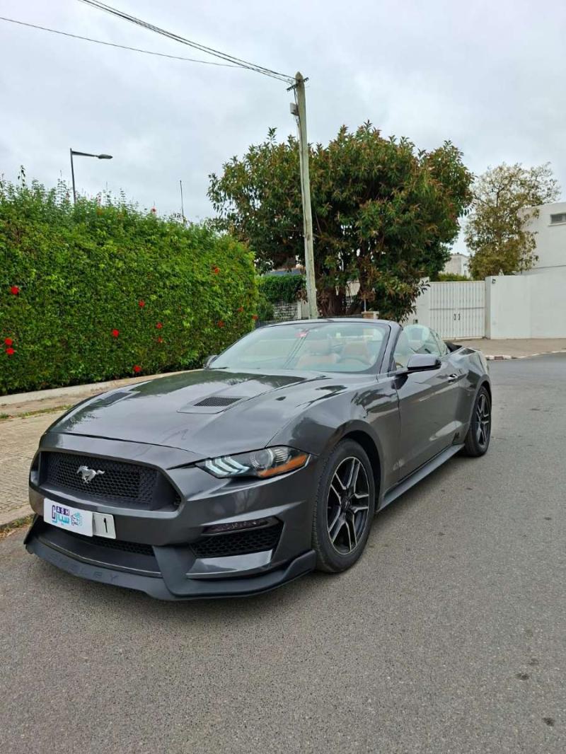 FORD MUSTANG occasion