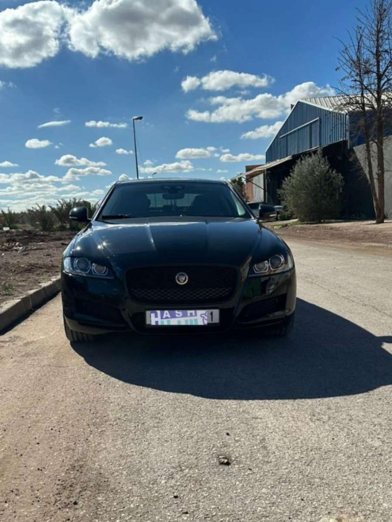 JAGUAR