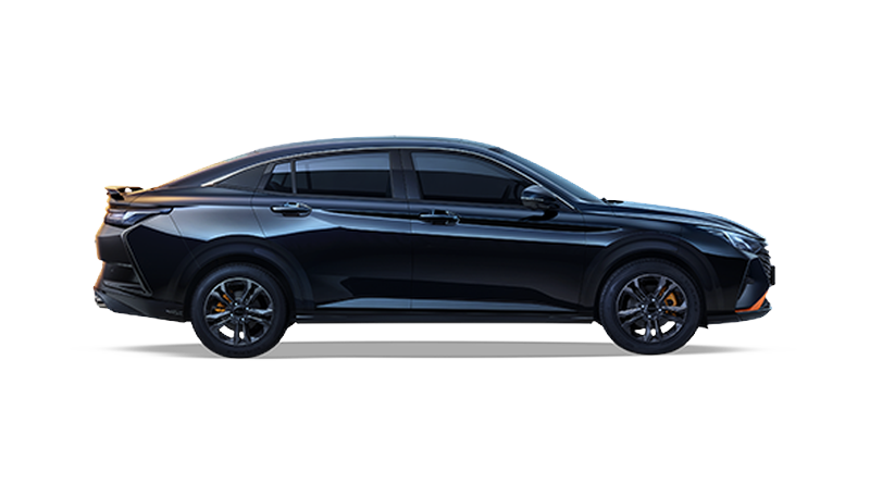 dongfeng-shine