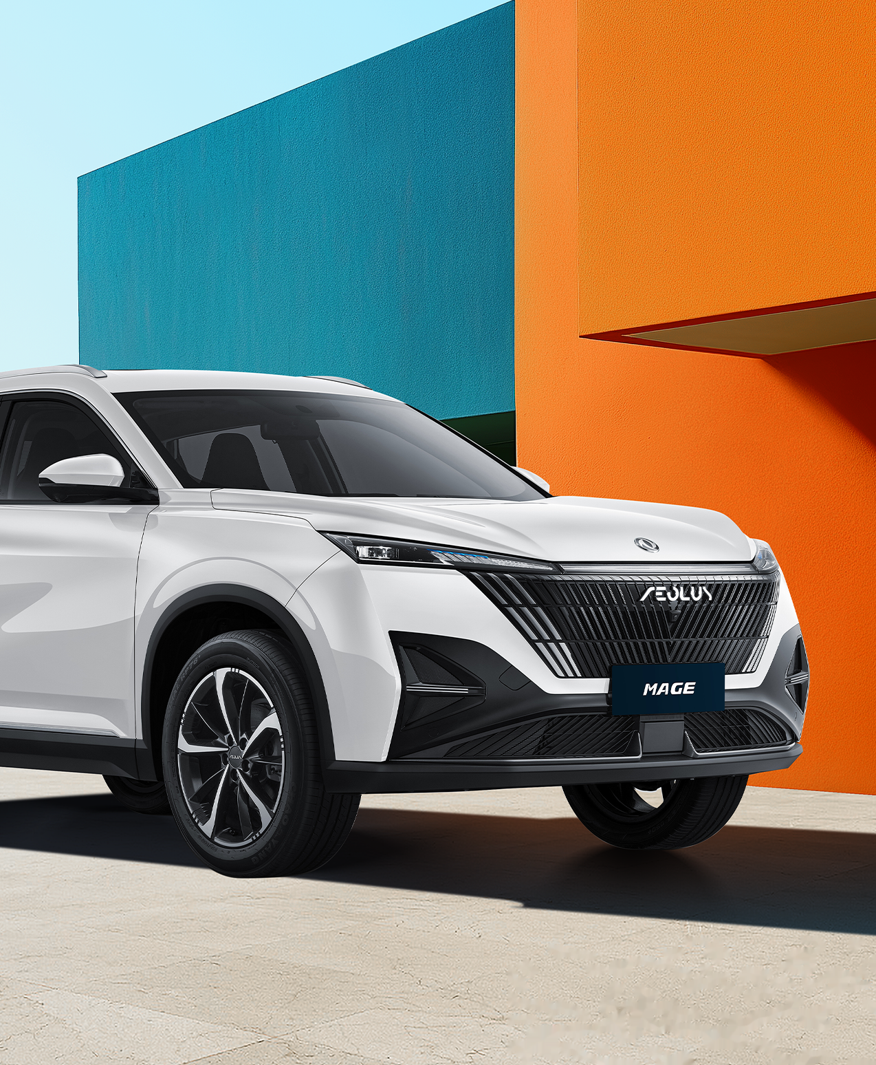 Photo 5